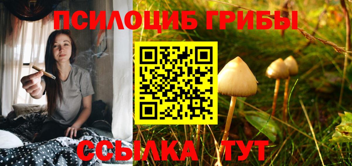 Псилоцибиновые грибы мухоморы Сергиев Посад