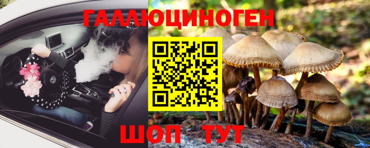 Псилоцибиновые грибы прущие грибы  Галлюциногенные грибы GOLDEN TEACHER  Сергиев Посад  Вход с VPN 